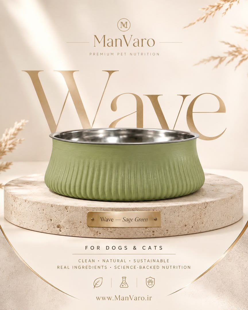 ظرف غذای پایه‌دار طرح Wave